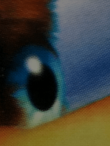 Screenshot_20230420-214810