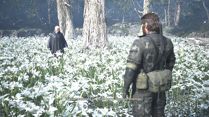 Captura de pantalla (830)