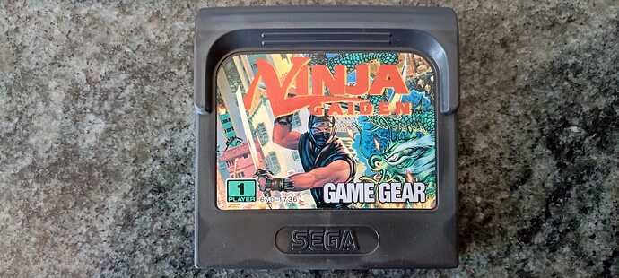Ninja Gaiden