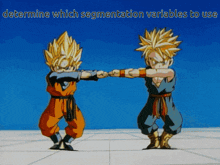 determine-segmentation-variables