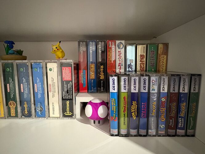 WhatsApp Image 2025-12-02 at 15.01.27 (2)