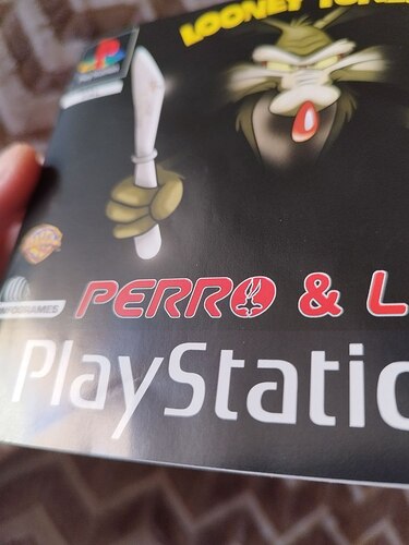 photo_2026-01-18_12-17-04 (5)