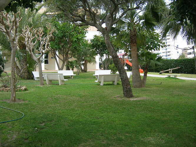 53 Zona verde