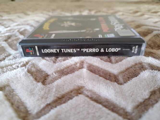 photo_2026-01-18_12-17-03 (5)