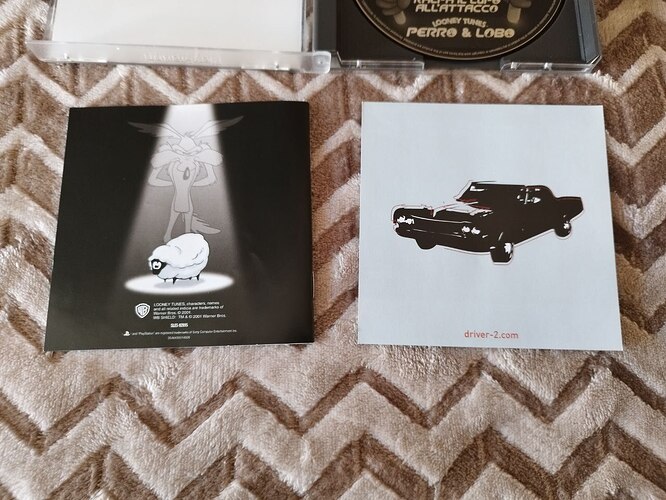 photo_2026-01-18_12-17-04 (3)