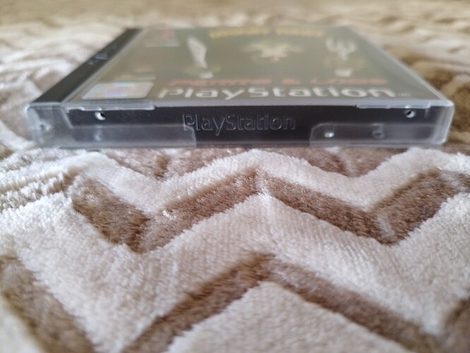 photo_2026-01-18_12-17-03 (6)