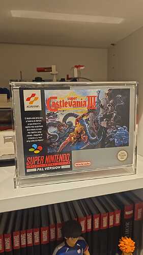 WhatsApp Image 2025-08-25 at 21.37.45