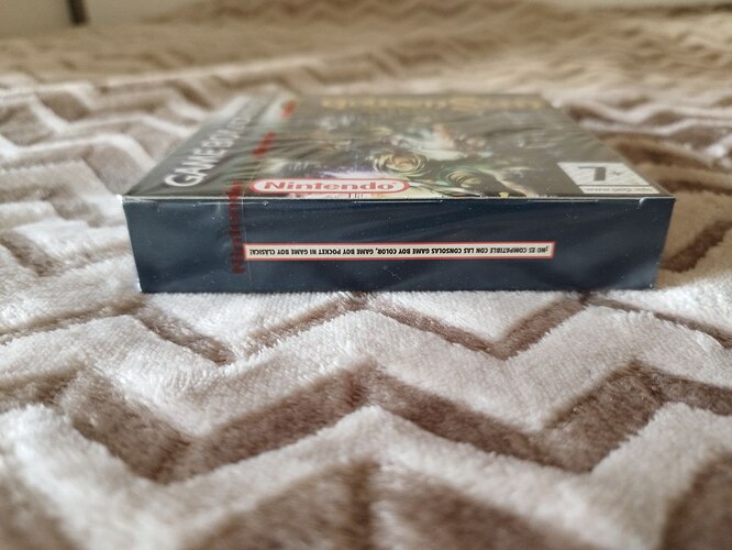 photo_2026-01-18_12-17-08 (9)