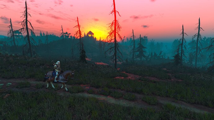 The Witcher 3 Wild Hunt – Complete Edition