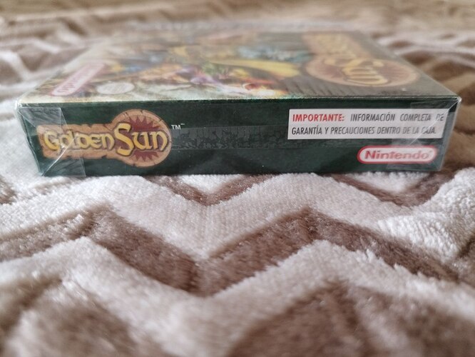 photo_2026-01-18_12-17-08 (4)