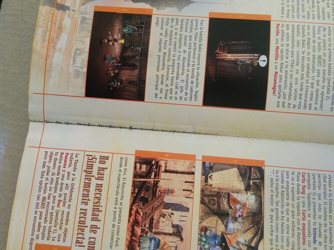 244 Guia Final fantasy IX (5)