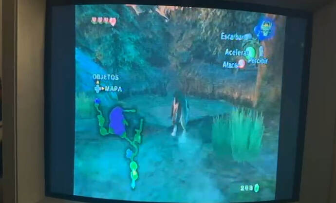 photo_2026-01-12_11-56-40