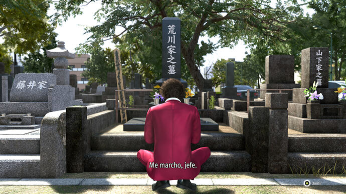 Captura de pantalla (1089)