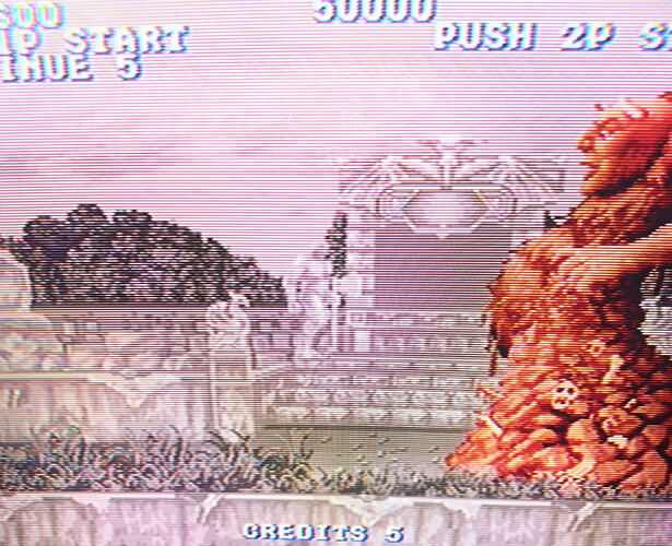 1000148686