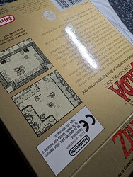 PXL_20251106_191202384