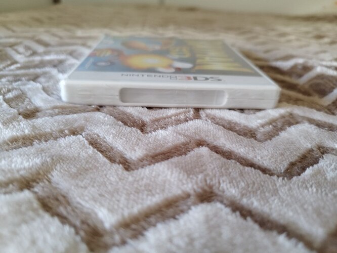 photo_2026-01-18_12-17-00 (9)