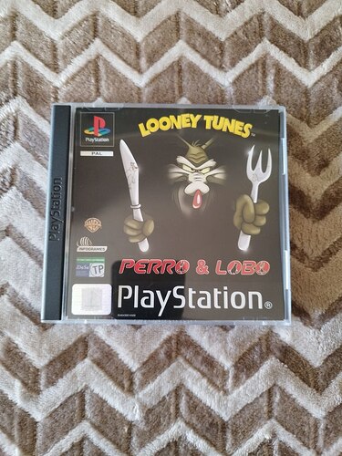 photo_2026-01-18_12-17-03 (3)