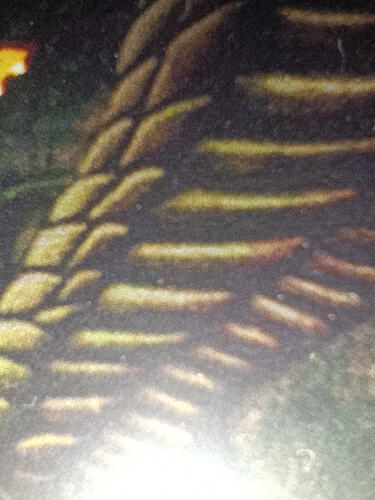 1000191013