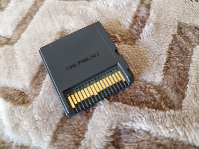 photo_2026-01-18_12-16-54 (4)