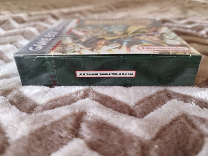 photo_2026-01-18_12-17-08 (3)