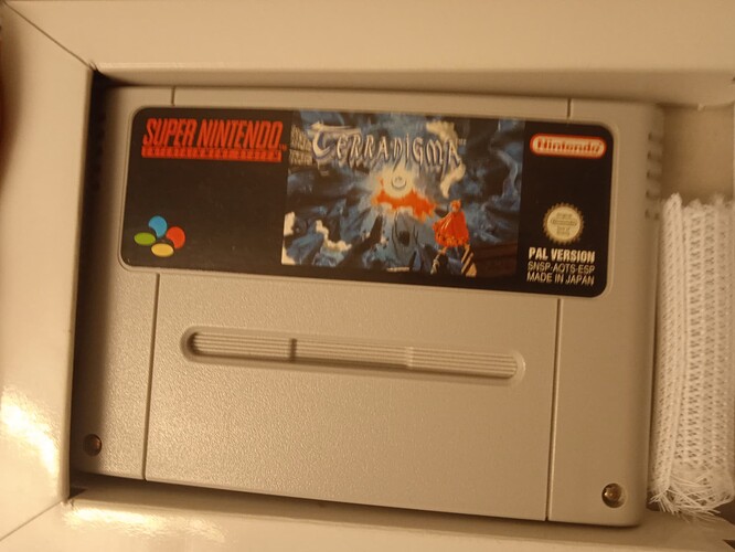 IMG_20251203_195724_1