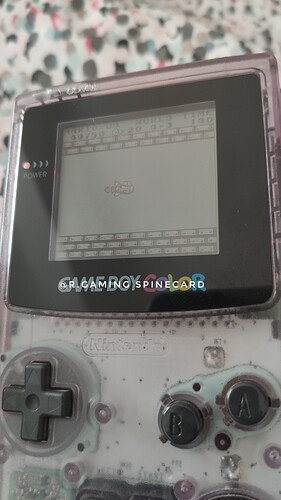 IMG_20210331_174747-01