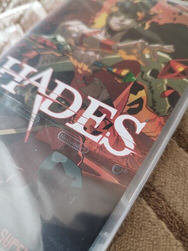 photo_2026-01-18_12-17-07 (8)