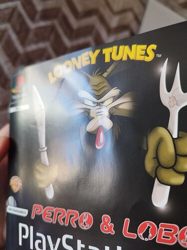 photo_2026-01-18_12-17-04 (4)