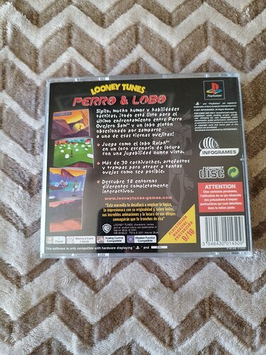 photo_2026-01-18_12-17-03 (4)