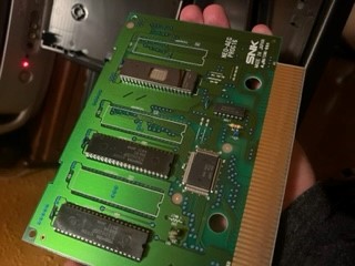 spinecard5